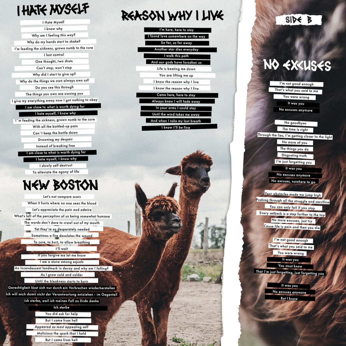 Bad Assumption - No Excuses Vinyl