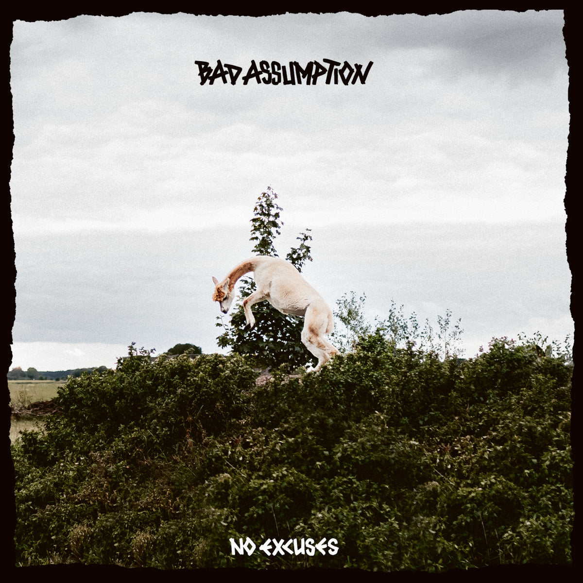 Bad Assumption - No Excuses Vinyl