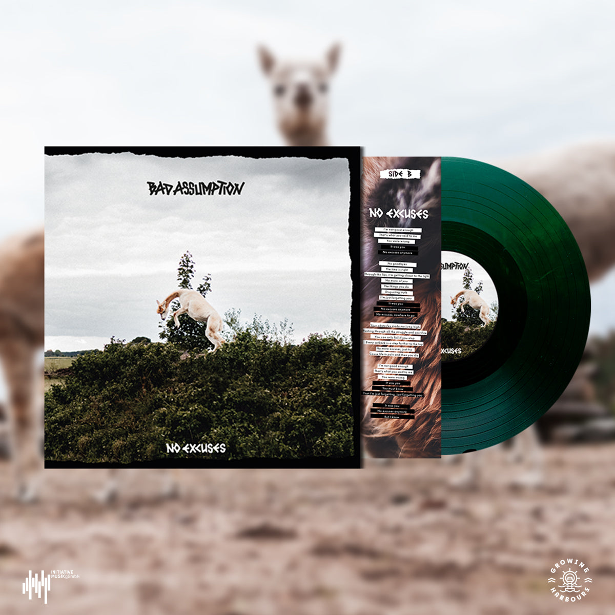 Bad Assumption - No Excuses Vinyl